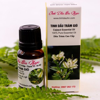Tinh dầu tràm gió Hoa Ngọc 10ml