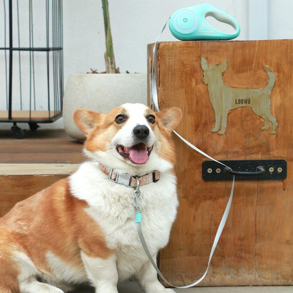 Dây Dắt Thú Cưng Đi Dạo Có Đèn Led Phát Sáng Thời Trang