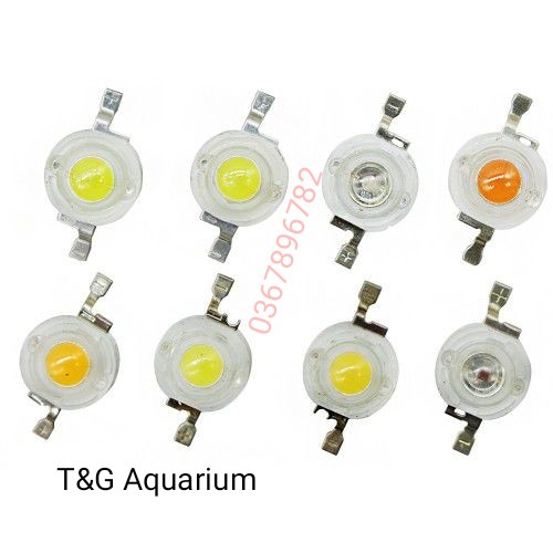 combo 10 led luxeon siêu sáng 1w