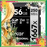 sausam2801  Thẻ nhớ SDXC Lexar 256GB UHS-II 1667X 250MB/s