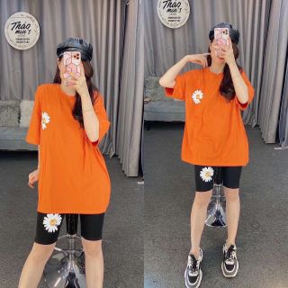 (4 màu) Set bộ nữ lửng hoa cúc siêu xinh