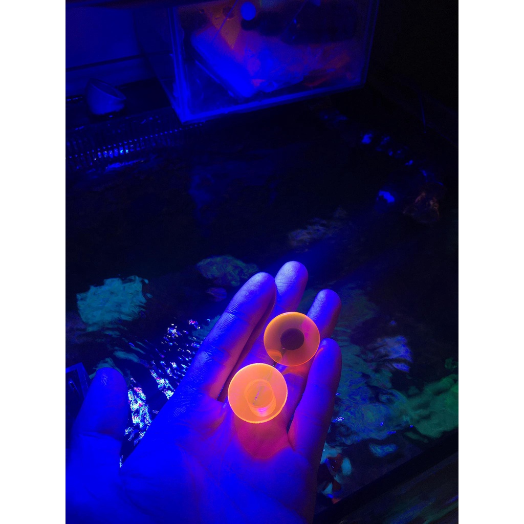 Đế frag phản quang cam xanh trắng