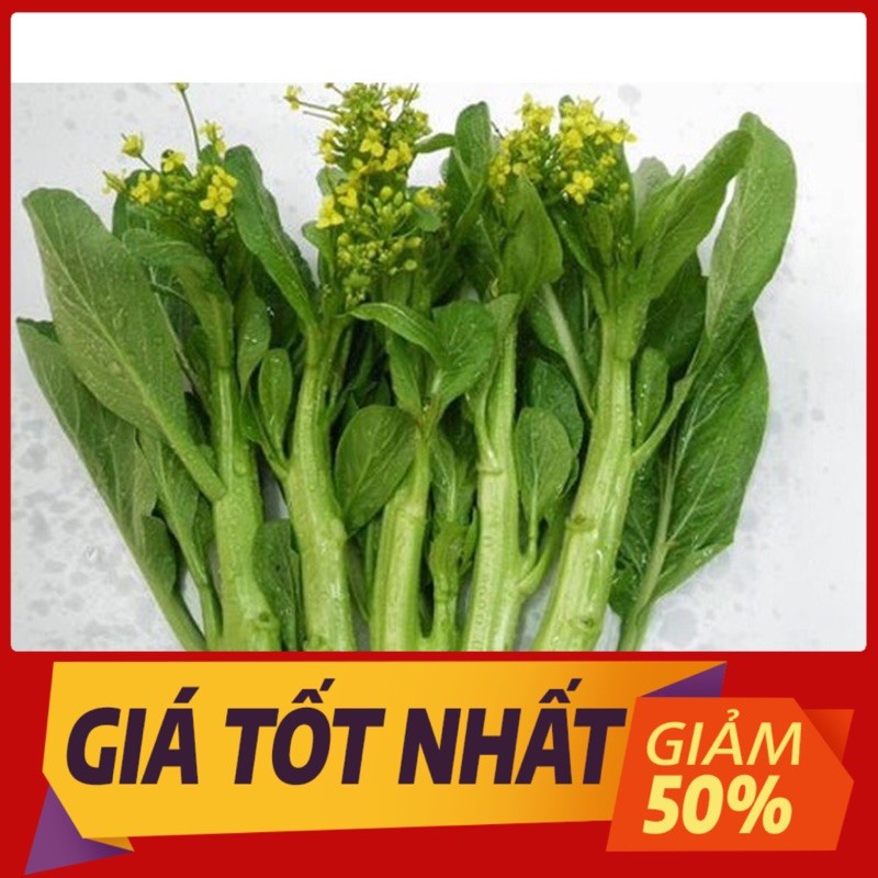 hạt giống cây rau cải ngồng xanh gói 20gr