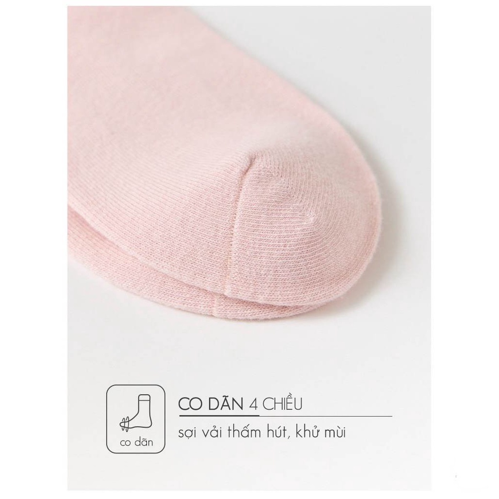 Tất cổ cao phong cách Hàn Quốc dễ thương, set 3 đôi vớ cao cute Yinxx TV02