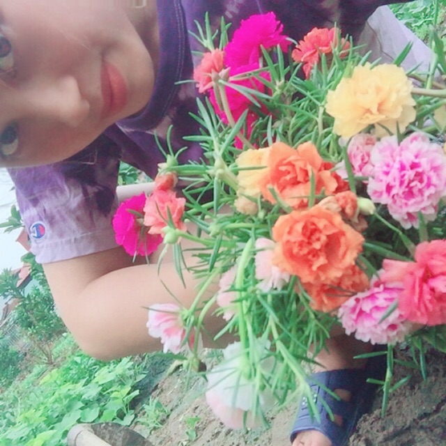 Hoa sam và mười giờ