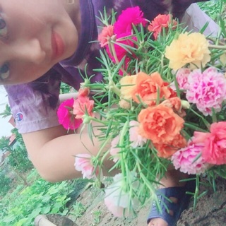 Hoa sam và mười giờ