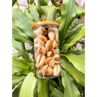 BÁNH SÒ THƠM THÁI LAN HỦ 350gr