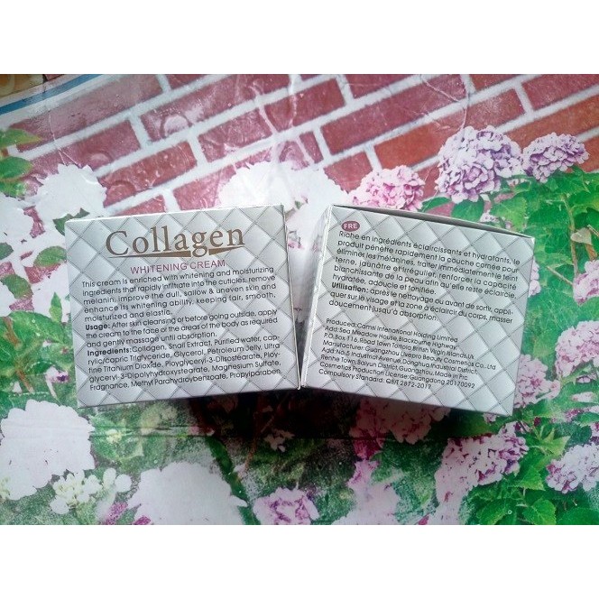 Mặt nạ ngủ Ốc sên Collagen Whitening 80g - KM