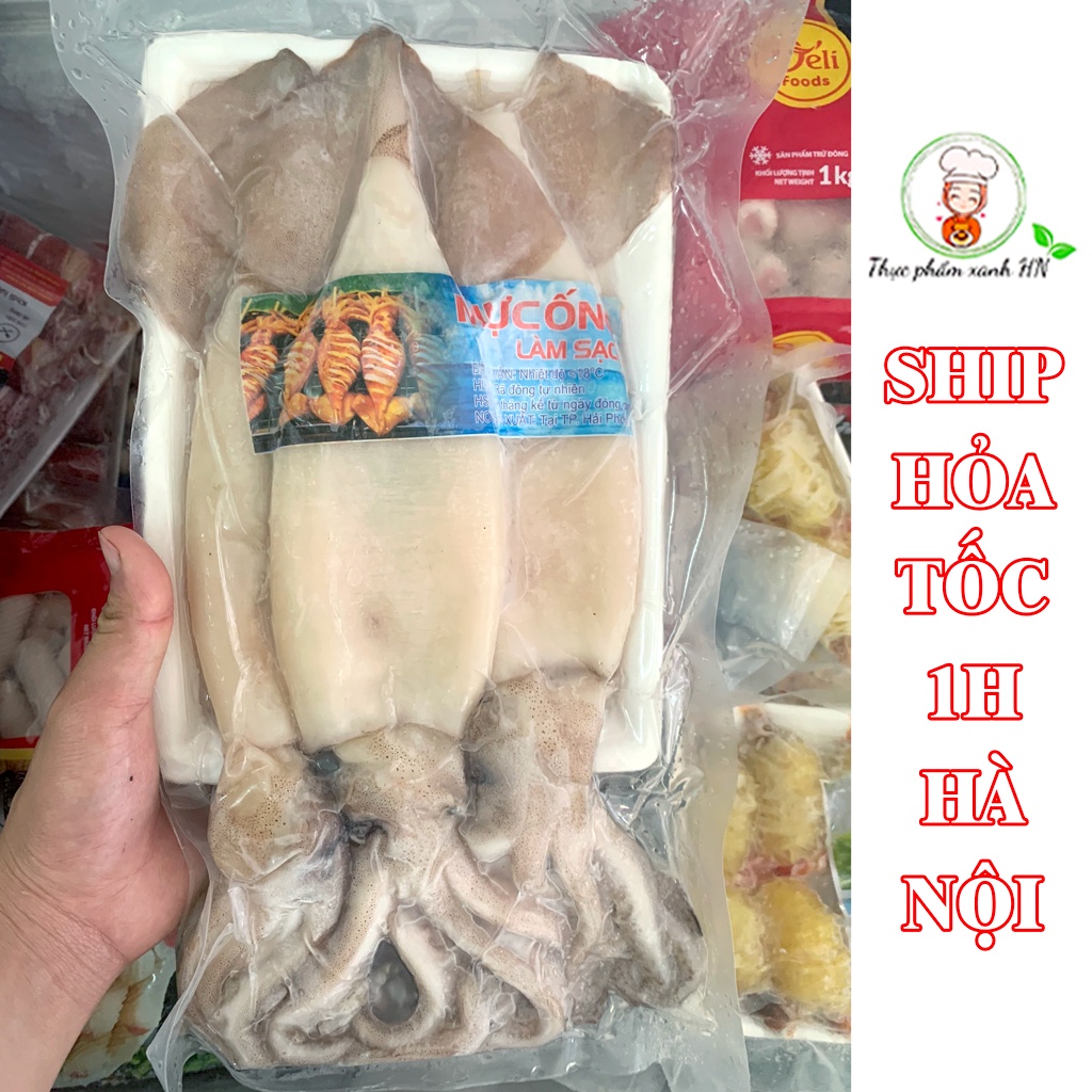 Mực Ống Làm Sạch Nguyên Con Có Đầu Size To Tươi Ngon - Ship Hỏa Tốc Hà Nội