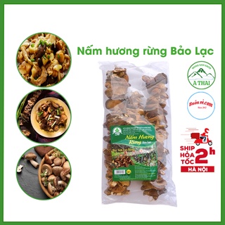 Nấm hương rừng Cao Bằng (100G) thơm ngon giàu dinh dưỡng - Đặc sản Cao Bằng nông sản sạch 00021