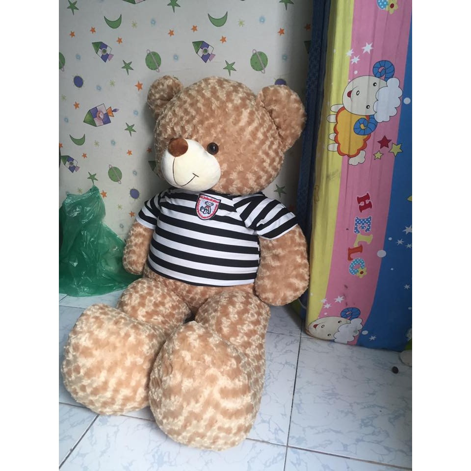 Gấu Teddy cafe sữa khổ 1m2