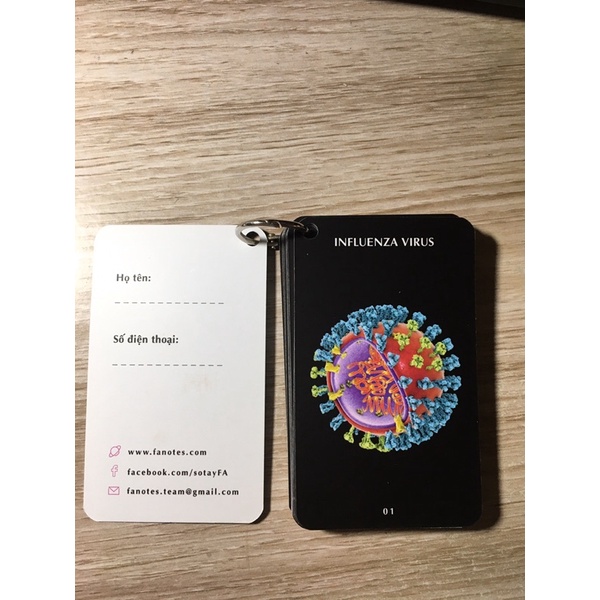 Sổ tay FA vi sinh - Virus//flashcard vi sinh- Virus