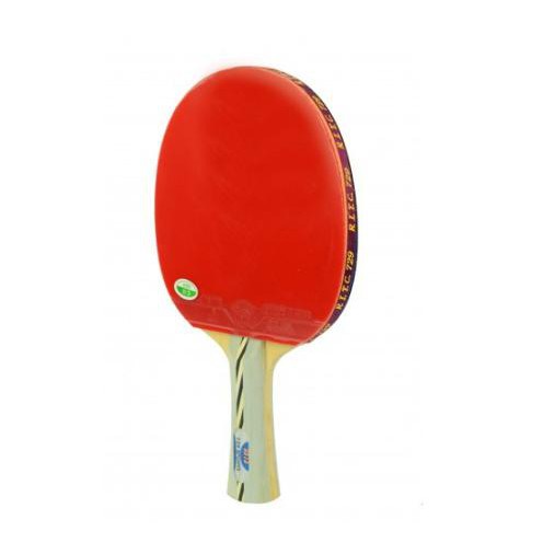 [TẶNG BÓNG] Vợt bóng bàn 729 -2010 (Tập luyện-phong trào)