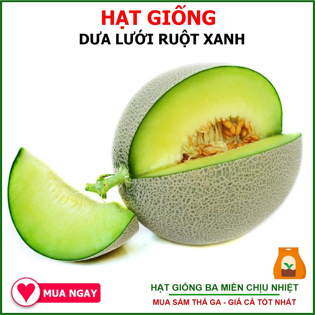 Hạt Giống Dưa Lưới Ruột Xanh 10 Hạt