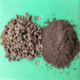 Phân Trùn Quế nguyên chất 2kg
