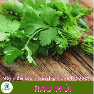 Hạt Giống Rau Mùi Ta chịu nhiệt - 50 gr