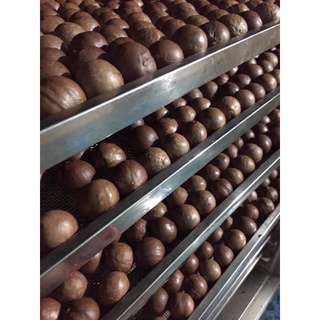 500g Nhân Mắc ca bóc sẵn