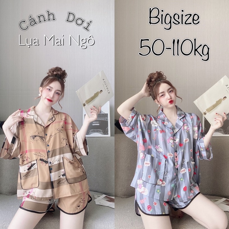 (45-110kg) Đồ Bộ Lụa Cao Cấp freesize - form rộng - chất đẹp - mẫu mới | BigBuy360 - bigbuy360.vn