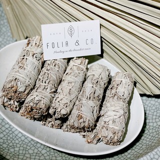 Set 10 bó xô trắng (California White Sage) cỡ 10cm thanh tẩy, xông nhà, làm sạch sú uế, xui xẻo giải toả căng thẳng
