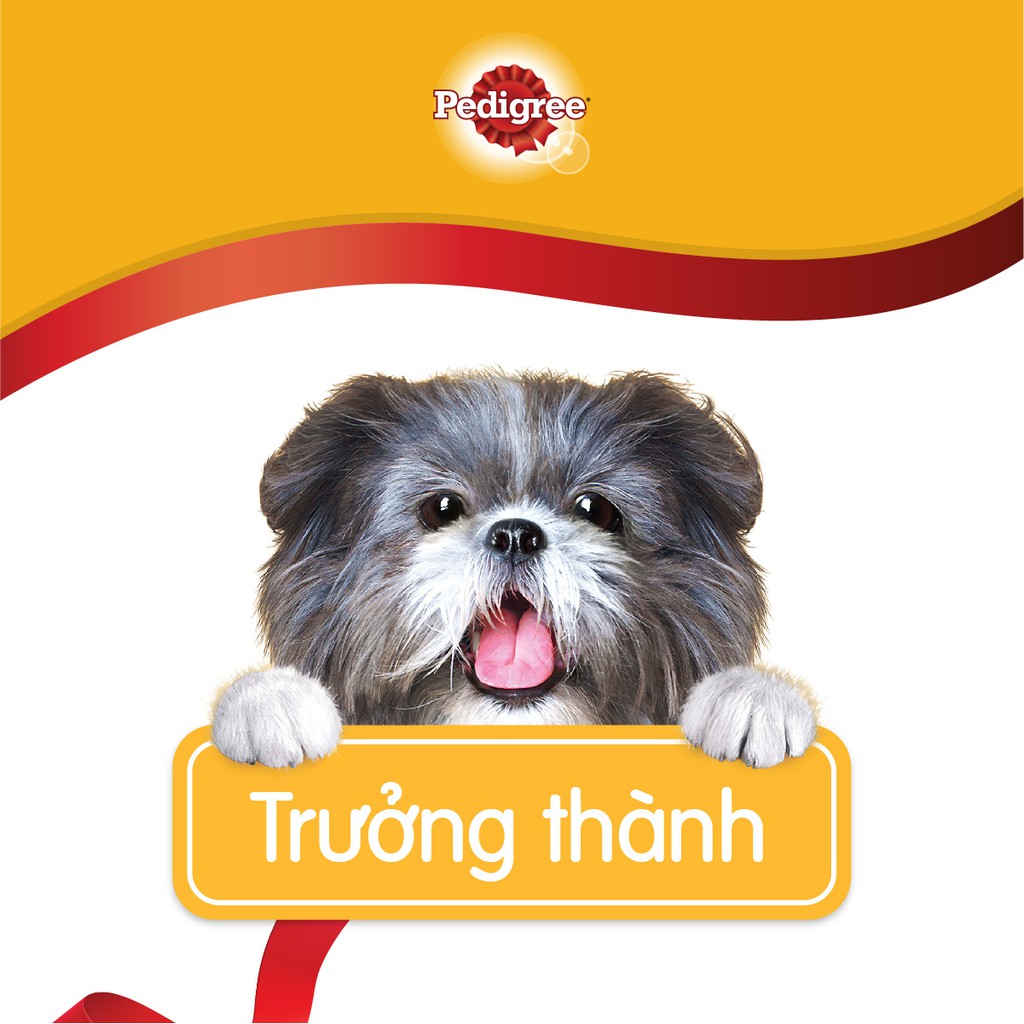 Combo thức ăn cho chó lớn dạng hạt Pedigree vị bò và rau củ 1.5kg + 3 túi bánh xương cho chó kiểng 60g/túi