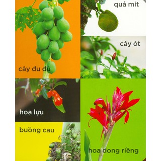 Sách - 100 Từ Mới - Làng Quê Của Em