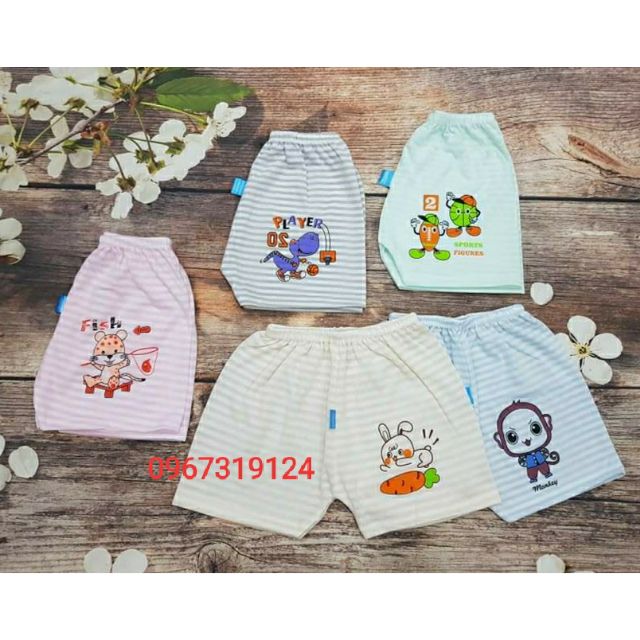 (10chiếc)Quần đùi Kẻ cotton Mềm_Mỏng_Mát