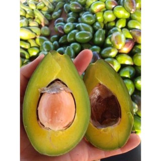 Bột bơ 10gr nguyên chất