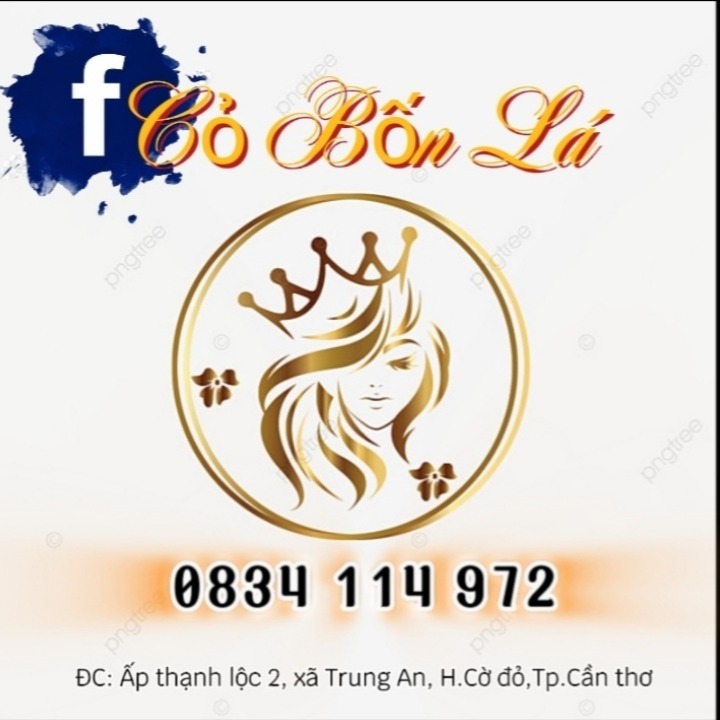 cỏ bồn lá