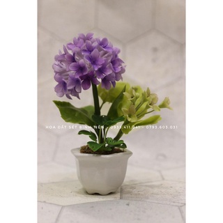 CHẬU HOA TÚ CẦU CAO 18cm