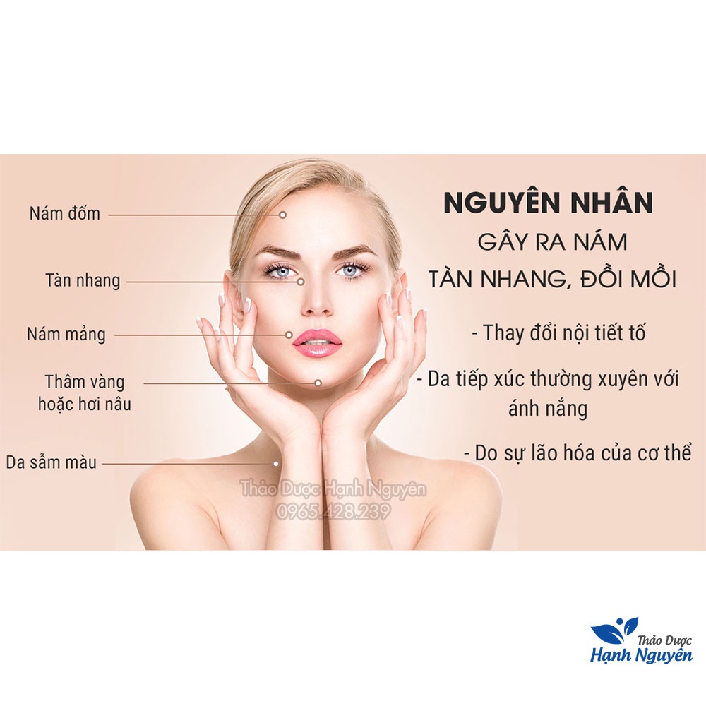 Combo 10 loại bột dưỡng da mờ thâm nam nguyên chất (Dưỡng trắng, điều màu da, chống lão hóa) - Thảo Dược Hạnh Nguyên