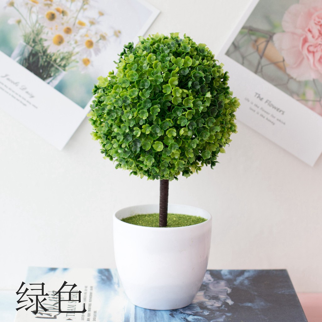 Chậu hoa cẩm tú cầu để bàn, để trang trí kệ treo tường .