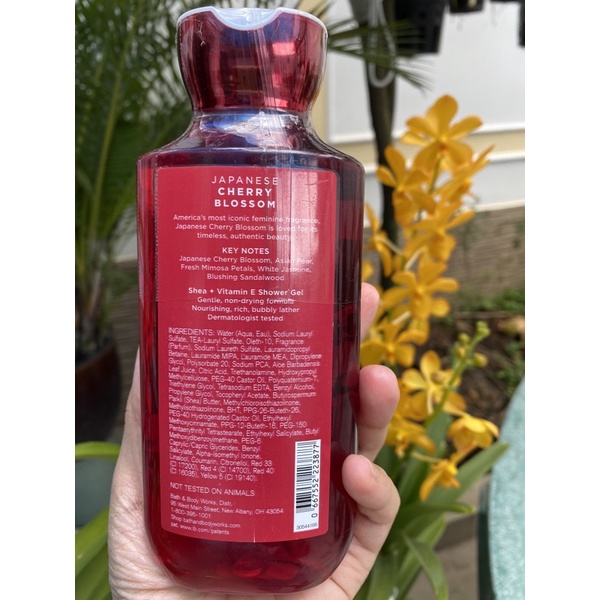 Sữa tắm Japanese Cherry Blossom - Bath&amp; Body Works (295ml)