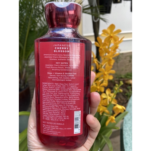 Sữa tắm Japanese Cherry Blossom - Bath& Body Works (295ml)