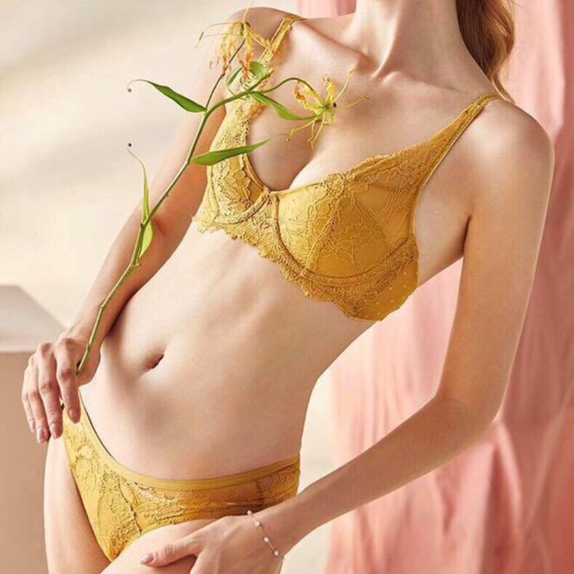 Bộ đồ lót thêu ren vintage cao cấp, áo ngực nâng sexy có gọng, đệm mỏng giá 340k sale 229k