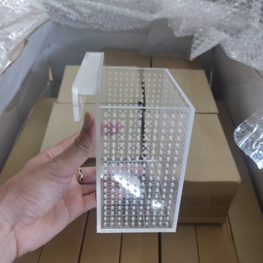 Box Mica Chuyên Dụng Cho Tép