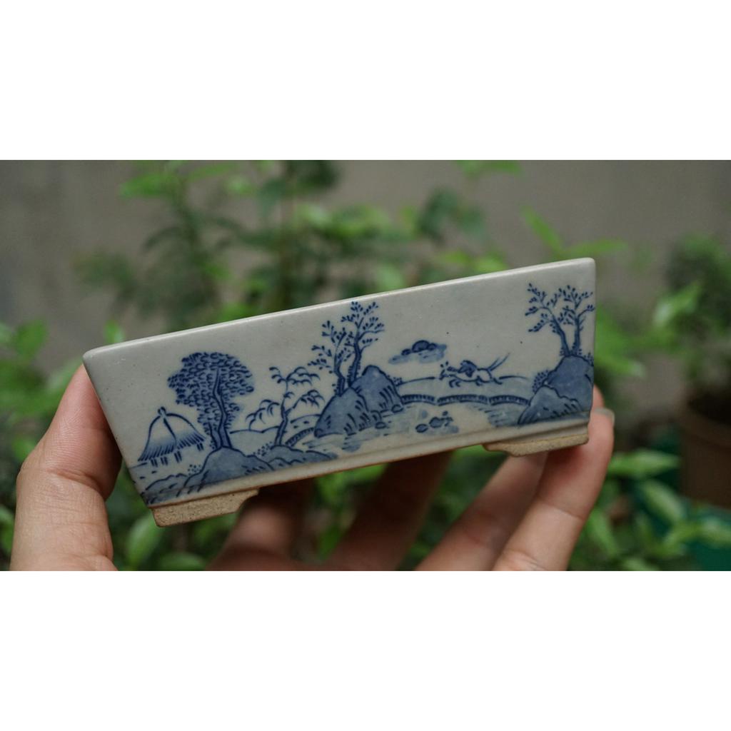 Chậu nhạt cao cấp