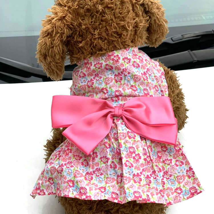 Đầm hoa đính nơ dễ thương cho thú cưng