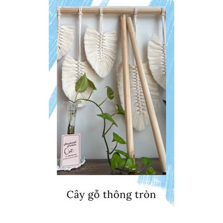 Cây gỗ thông tròn phi 20