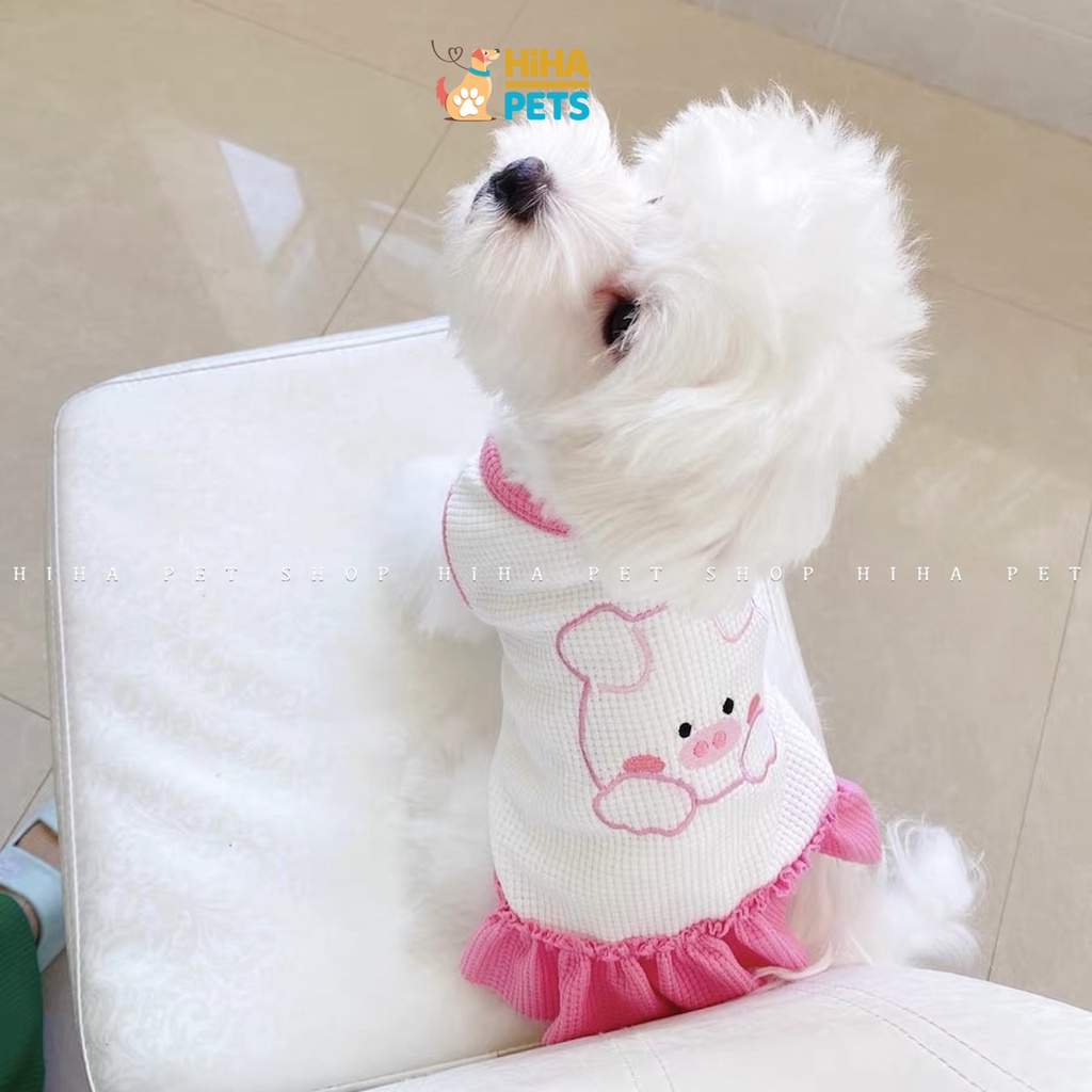 Áo Thun Cho Chó Mèo Dễ Thương Mát Mẻ Mùa Hè 2022 Quần Áo Thú Cưng Thiết Kế Hàn Quốc Hiha Pets.