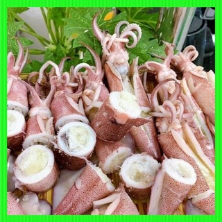 MỰC TRỨNG 750gr (hoả tốc HCM)