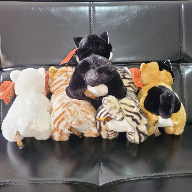 Gấu Bông Mèo Cưng Kitten Dễ Thương Búp Bê Thú Nhồi Bông  Quà Sinh Nhật MIRA-GB28022