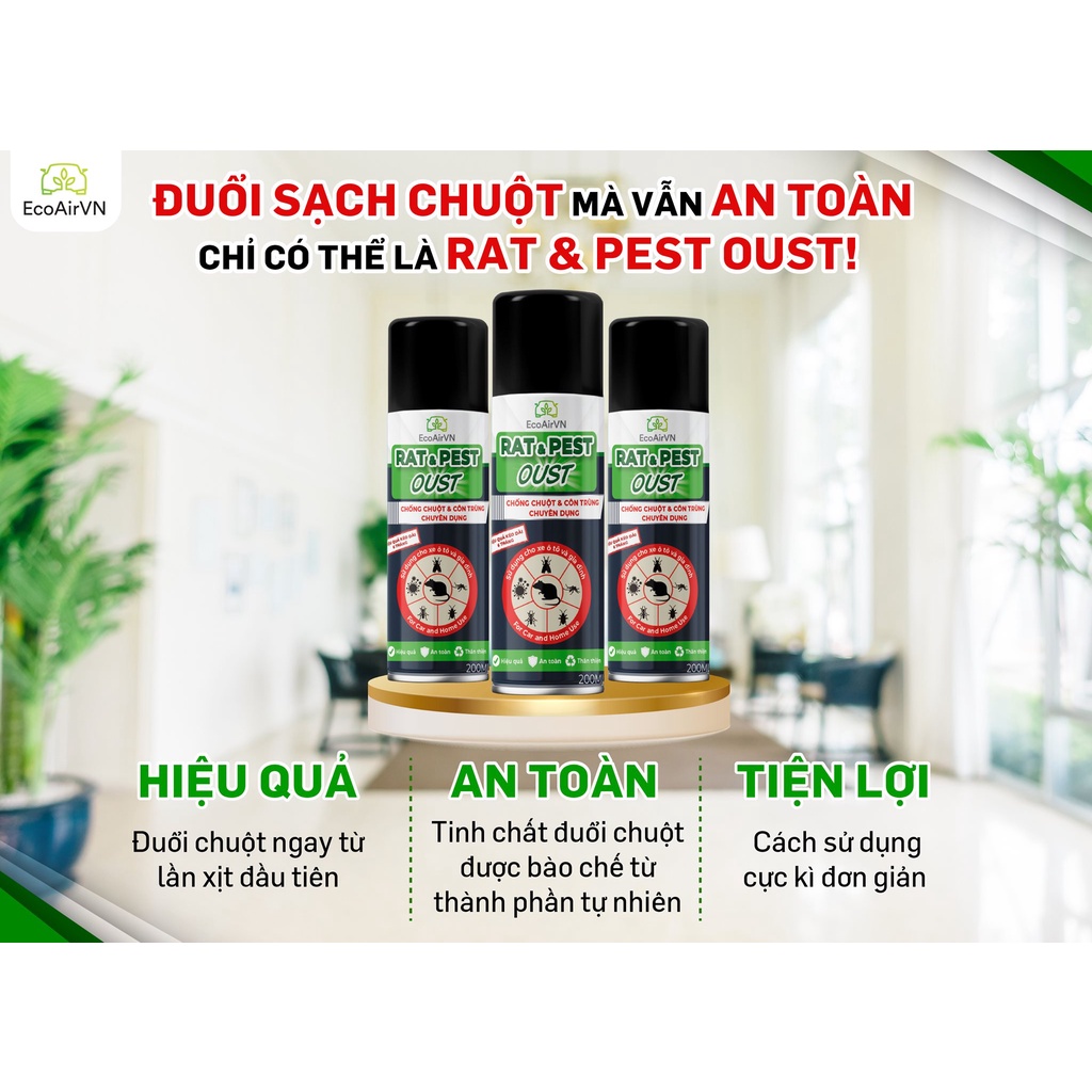 Xịt đuổi chuột cho gia đình Rat&PestOust EcoAirVn Lifetech Group tinh chất nồng độ cao đuổi chuột 100%