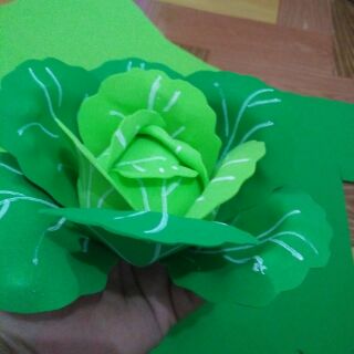 Bắp cải, súp lơ