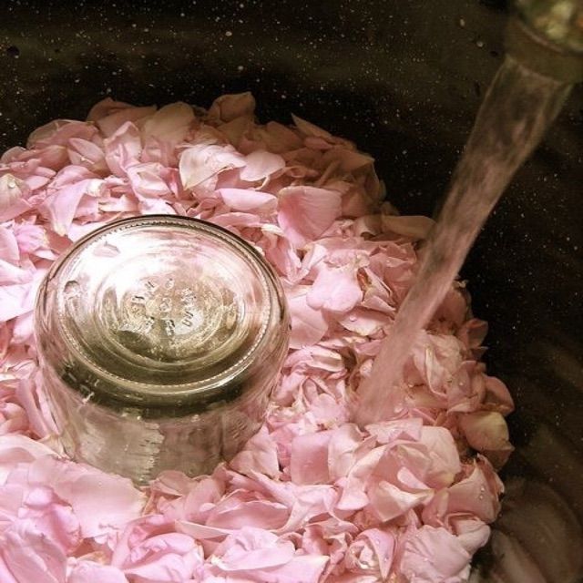 Sữa tắm cánh hoa hồng  GoBo cỏ cây hoa lá | BigBuy360 - bigbuy360.vn