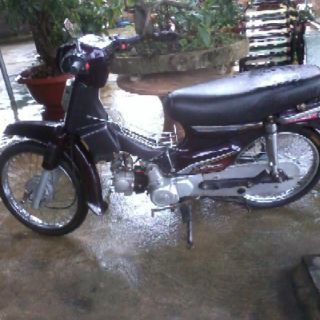 Yếm cắt xe dream đen trắng