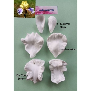 Gân silicon hoa diên vĩ lấy từ hoa thật