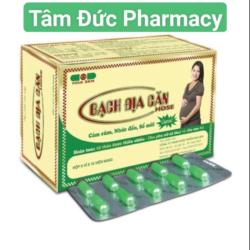 Bạch Địa Căn hộp 100 viên