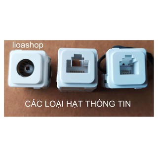 HẠT THÔNG TIN VUÔNG LiOA.