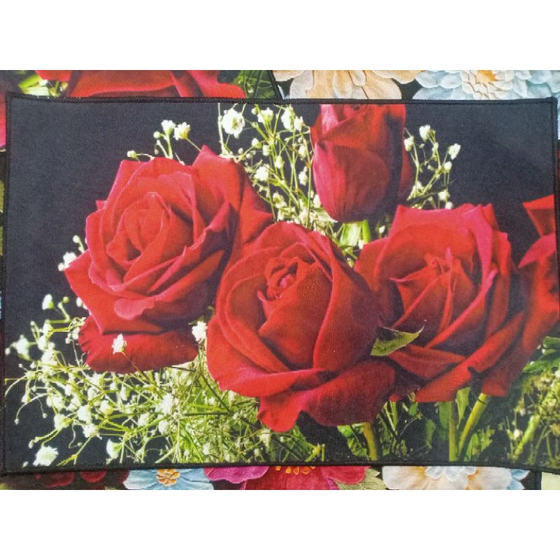 Thảm Lau Chân In Hình 3D Cực Hot