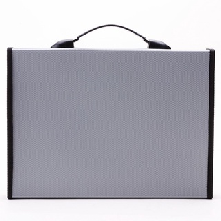 Cặp tài liệu A4 13 ngăn Deli - E5556 - 1 chiếc - HOKAMI STORE